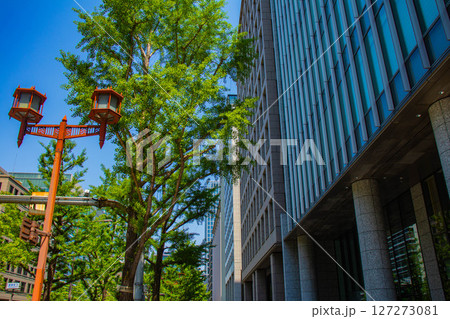 【大阪風景】御堂筋沿いのビル群（淀屋橋から心斎橋まで） 127273081