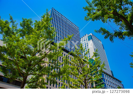 【大阪風景】御堂筋沿いのビル群(淀屋橋から心斎橋まで) 【大阪風景】御堂筋沿いのビル群(淀屋橋から心斎橋まで) 127273098