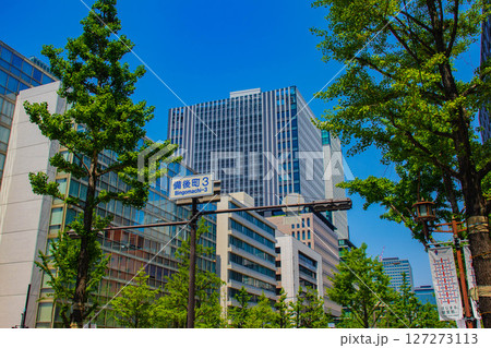 【大阪風景】御堂筋沿いのビル群（淀屋橋から心斎橋まで） 127273113