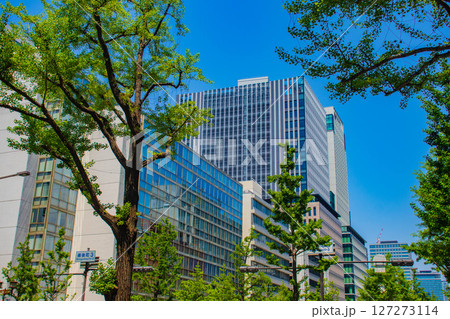 【大阪風景】御堂筋沿いのビル群(淀屋橋から心斎橋まで) 【大阪風景】御堂筋沿いのビル群(淀屋橋から心斎橋まで) 127273114