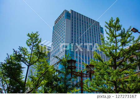 【大阪風景】御堂筋沿いのビル群（淀屋橋から心斎橋まで） 127273167