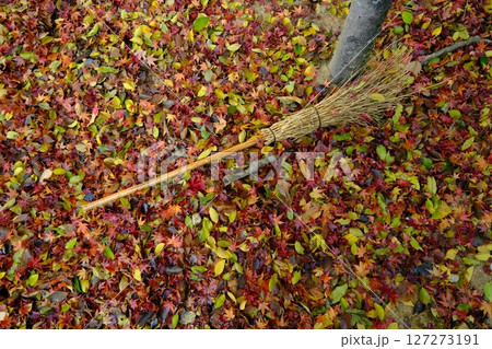 落葉の庭と掃除のイメージ素材 127273191