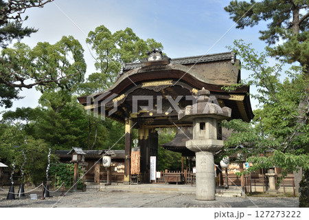 豊国神社 国宝唐門(京都市東山区) 豊国神社 国宝唐門(京都市東山区) 127273222