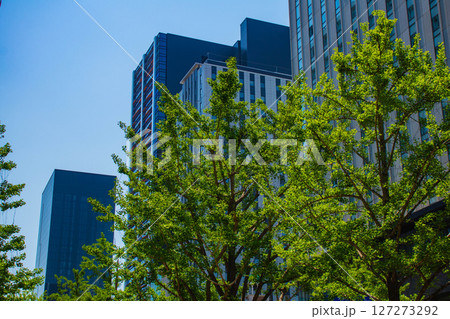 【大阪風景】御堂筋沿いのビル群(淀屋橋から心斎橋まで) 【大阪風景】御堂筋沿いのビル群(淀屋橋から心斎橋まで) 127273292