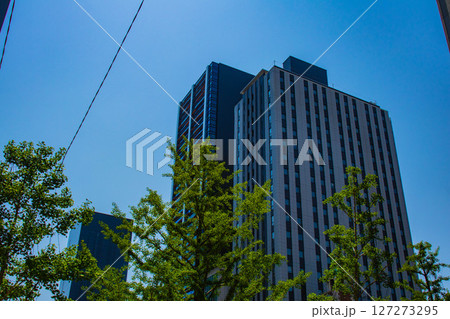 【大阪風景】御堂筋沿いのビル群（淀屋橋から心斎橋まで） 127273295