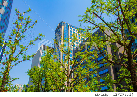 【大阪風景】御堂筋沿いのビル群(淀屋橋から心斎橋まで) 【大阪風景】御堂筋沿いのビル群(淀屋橋から心斎橋まで) 127273314