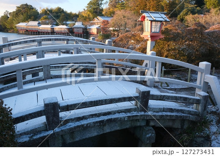 もうひとつの京都乙訓の冬の八条池 127273431