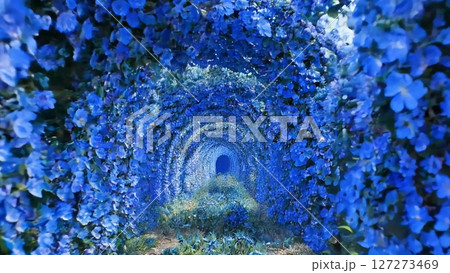 豊かな緑に囲まれ、その先に暗い開口部がある青い花のトンネル 127273469