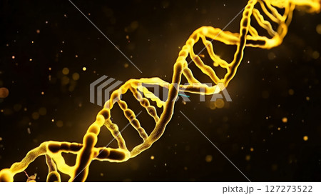 生命の設計図であるDNAを金色で表現 127273522