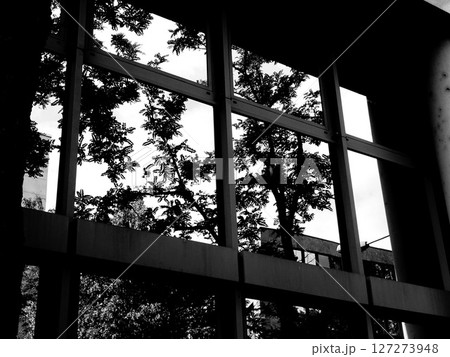 sunlight through window sunlight through window 127273948