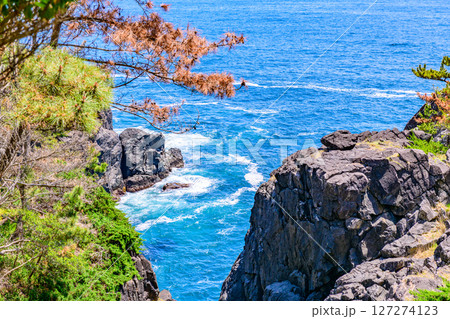 岩手県陸前高田の小さな漁港と岬 岩手県陸前高田の小さな漁港と岬 127274123