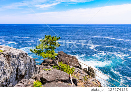 岩手県陸前高田の小さな漁港と岬 127274128