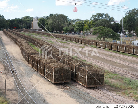製糖工場とサトウキビ列車 Bruce Hwy, Home Hill QLD 4806 オーストラリア 製糖工場とサトウキビ列車 Bruce Hwy, Home Hill QLD 4806 オーストラリア 127275020