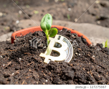 Bitcoin growth, cryptocurrency bull market, rocket record heights conceptual background 127275087