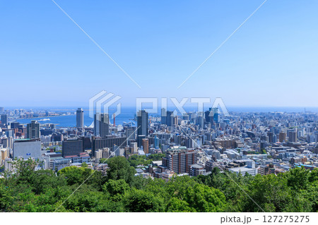 初夏の神戸の都市風景 (兵庫県神戸市中央区) 127275275