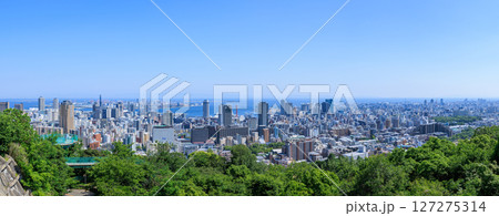 初夏の神戸の都市風景 パノラマ (兵庫県神戸市中央区) 127275314