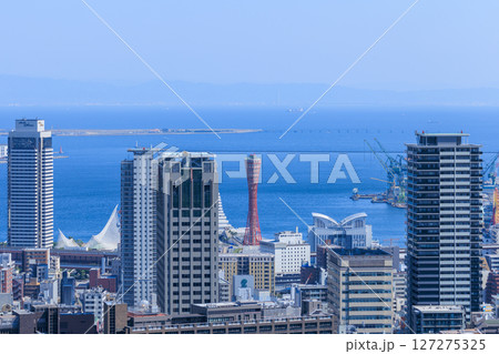 初夏の神戸の都市風景 (兵庫県神戸市中央区) 127275325