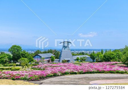 春 宮城県北部 色麻町のシャクヤク祭り 春 宮城県北部 色麻町のシャクヤク祭り 127275584