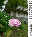 城と紫陽花 127275610