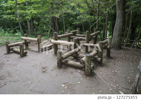 アスレチックイメージ 127275855