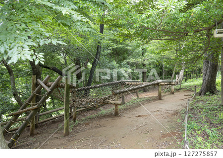 アスレチックイメージ 127275857