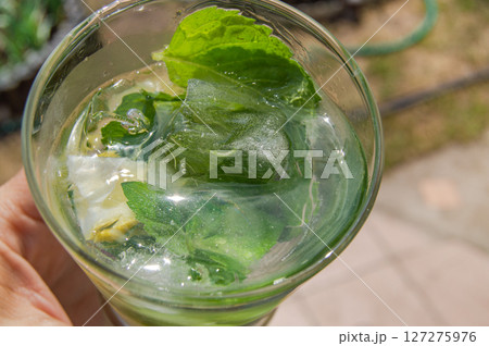 Top view of a cold tropical mojito cocktail in the hand of a woman on a summer green background 127275976