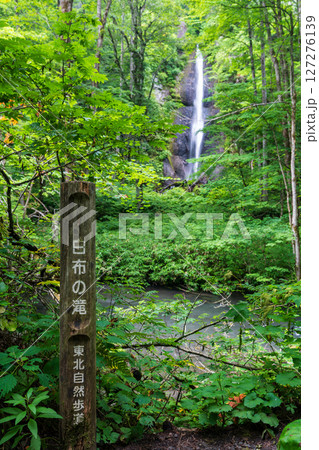 夏の奥入瀬渓流、木々の間から望む迫力ある白布の滝 夏の奥入瀬渓流、木々の間から望む迫力ある白布の滝 127276139