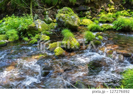 初夏の元滝伏流水と元滝川の流れ 秋田県にかほ市 初夏の元滝伏流水と元滝川の流れ 秋田県にかほ市 127276892