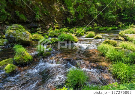 初夏の元滝伏流水と元滝川の流れ　秋田県にかほ市 127276893