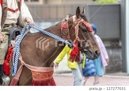 相馬野馬追 飾り付けられた馬 福島県南相馬市 相馬野馬追 飾り付けられた馬 福島県南相馬市 127277031
