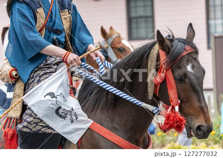 相馬野馬追 飾り付けられた馬 福島県南相馬市 相馬野馬追 飾り付けられた馬 福島県南相馬市 127277032