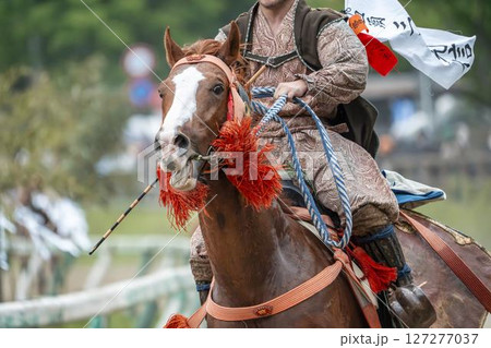 相馬野馬追　飾り付けられた馬　福島県南相馬市 127277037