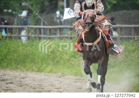 相馬野馬追　飾り付けられた馬　福島県南相馬市 127277042