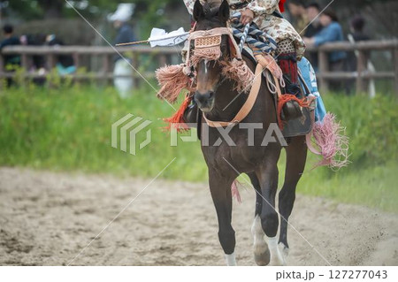 相馬野馬追　飾り付けられた馬　福島県南相馬市 127277043