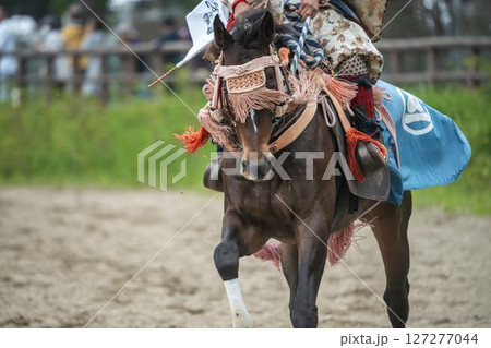 相馬野馬追　飾り付けられた馬　福島県南相馬市 127277044