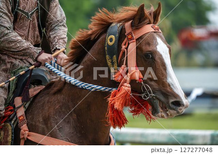 相馬野馬追　飾り付けられた馬　福島県南相馬市 127277048