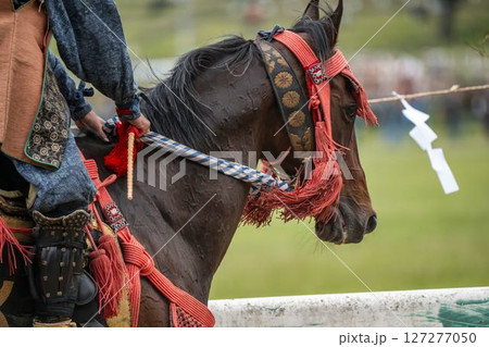 相馬野馬追　飾り付けられた馬　福島県南相馬市 127277050