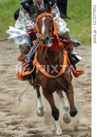 相馬野馬追　飾り付けられた馬　福島県南相馬市 127277051