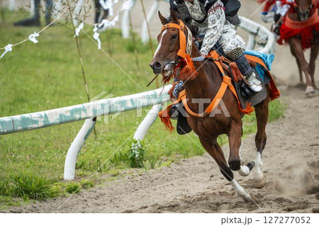 相馬野馬追 飾り付けられた馬 福島県南相馬市 相馬野馬追 飾り付けられた馬 福島県南相馬市 127277052