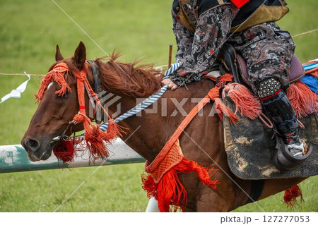相馬野馬追 飾り付けられた馬 福島県南相馬市 相馬野馬追 飾り付けられた馬 福島県南相馬市 127277053