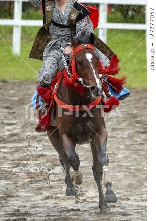 相馬野馬追 飾り付けられた馬 福島県南相馬市 相馬野馬追 飾り付けられた馬 福島県南相馬市 127277057