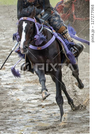 相馬野馬追 飾り付けられた馬 福島県南相馬市 相馬野馬追 飾り付けられた馬 福島県南相馬市 127277068