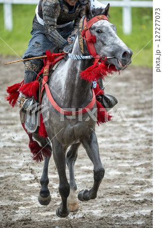 相馬野馬追　飾り付けられた馬　福島県南相馬市 127277073