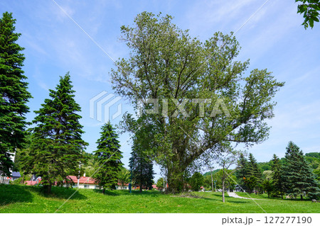 メモリアルパーク(ホルンくん公園・歌志内駅跡) メモリアルパーク(ホルンくん公園・歌志内駅跡) 127277190