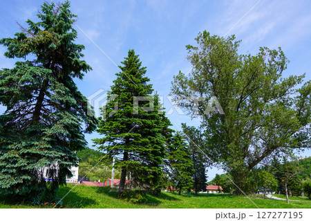 メモリアルパーク(ホルンくん公園・歌志内駅跡) メモリアルパーク(ホルンくん公園・歌志内駅跡) 127277195