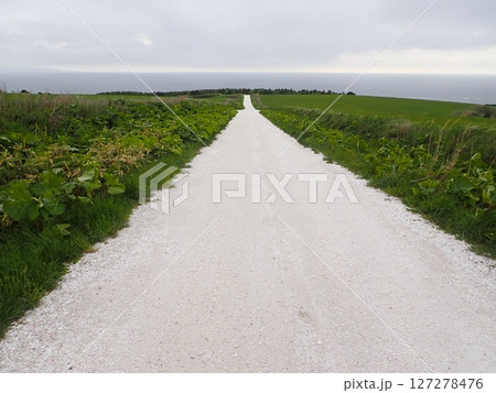 海に続く白い道 海に続く白い道 127278476