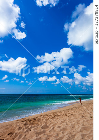 バリ島で見つけた夏の光景 127278914