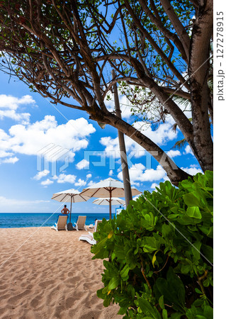 バリ島で見つけた夏の光景 127278915