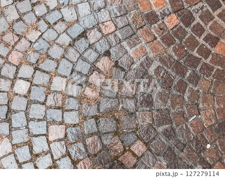 A brick walkway with a wet surface 127279114