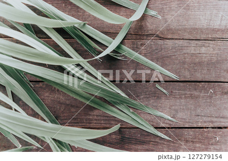 A long green leafy plant is on a wooden surface A long green leafy plant is on a wooden surface 127279154